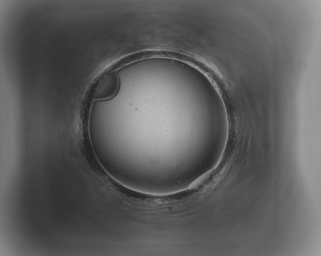 X0000102381311200808081129