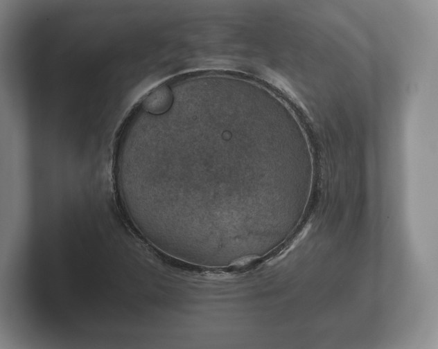 X0000102381312200808081129