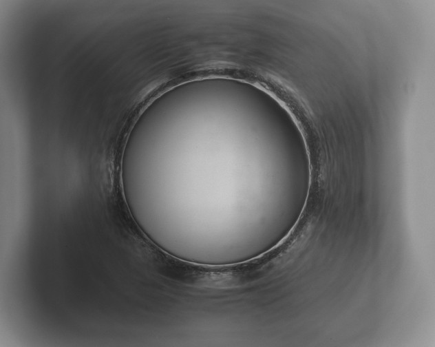X0000102381313200808081129