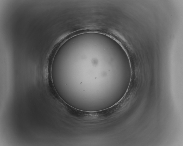 X0000102381315200808081129