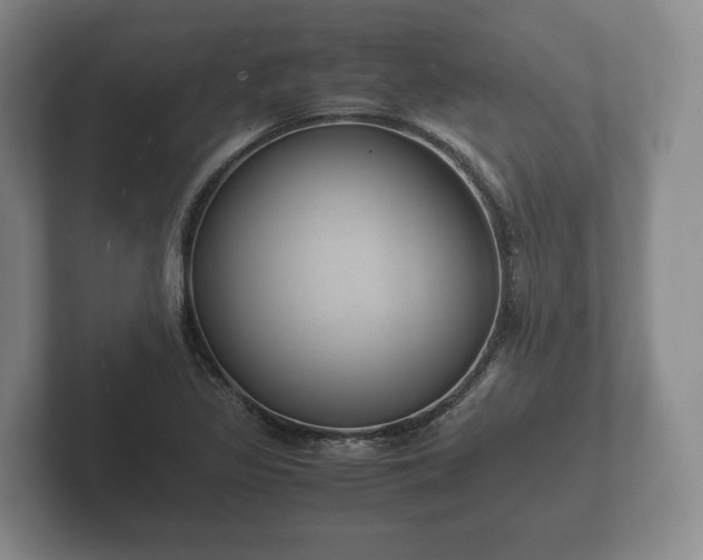 X0000102381317200808081129