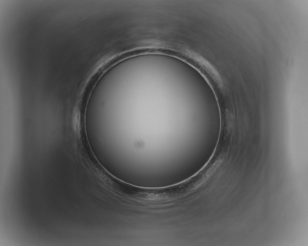 X0000102381318200808081129