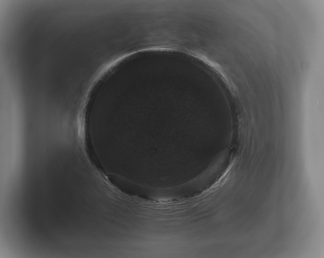 X0000102381319200808081129