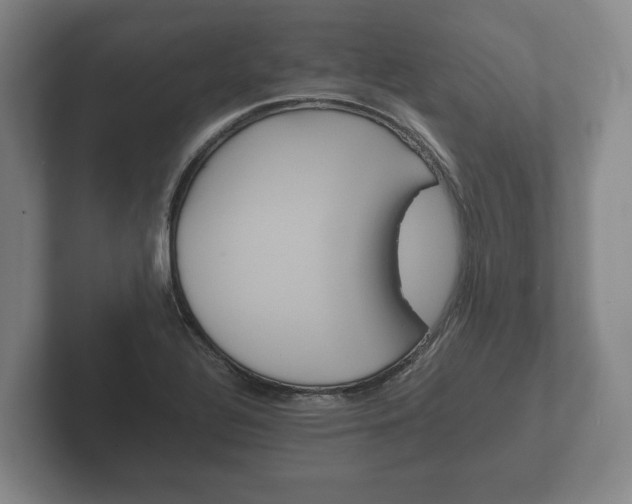 X0000102381320200808081129