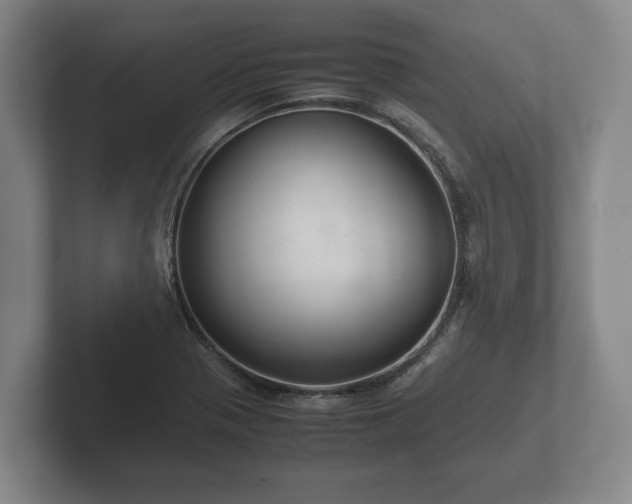 X0000102381321200808081129