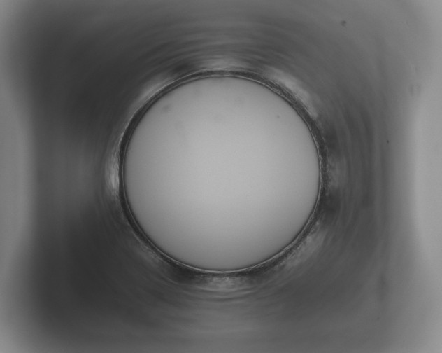 X0000102381322200808081129