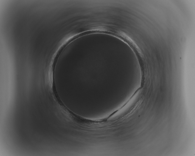 X0000102381323200808081129