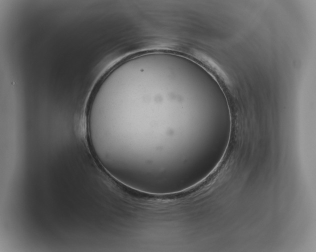 X0000102381324200808081129