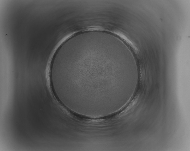 X0000102381325200808081129