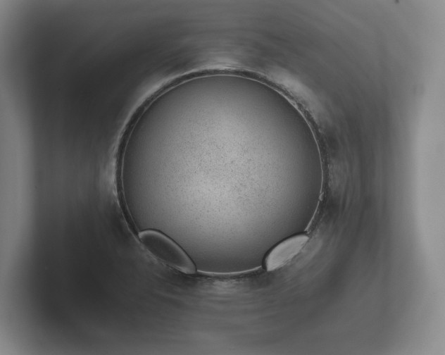 X0000102381326200808081129