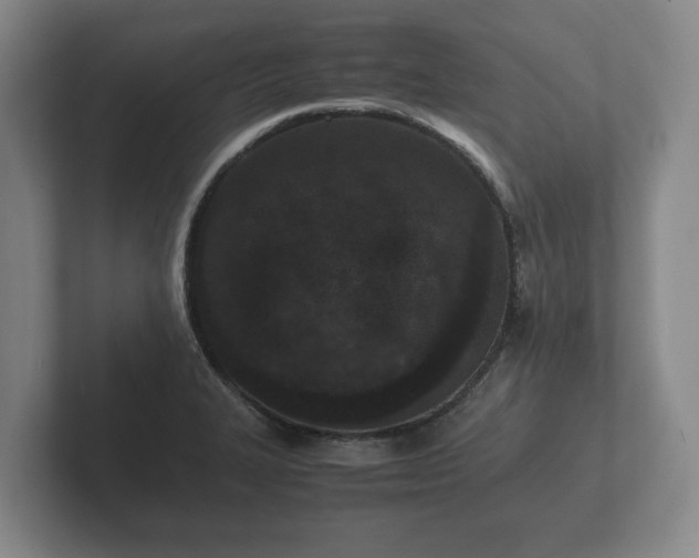 X0000102381327200808081129