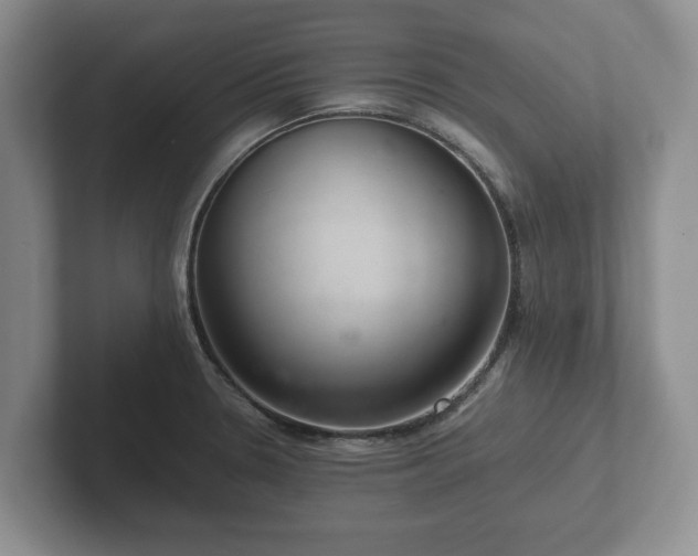 X0000102381330200808081130
