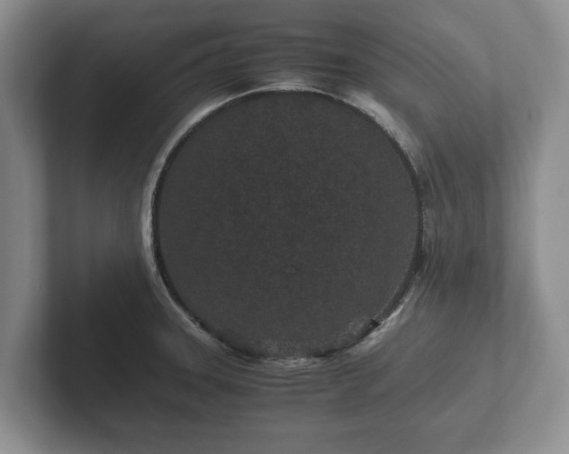 X0000102381331200808081130