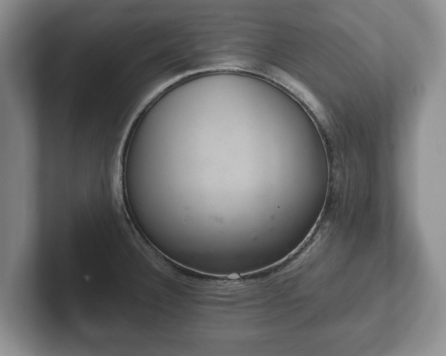 X0000102381332200808081130
