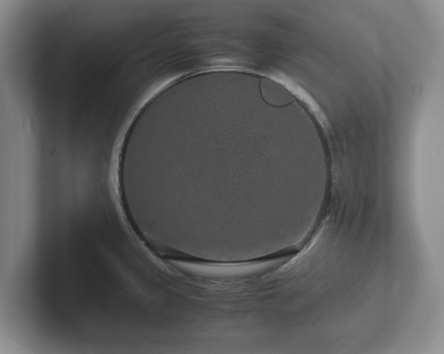 X0000102381333200808081130