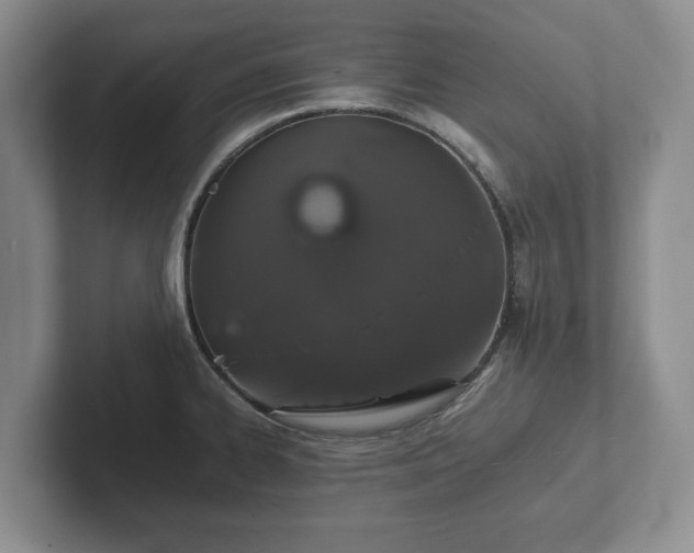 X0000102381334200808081130
