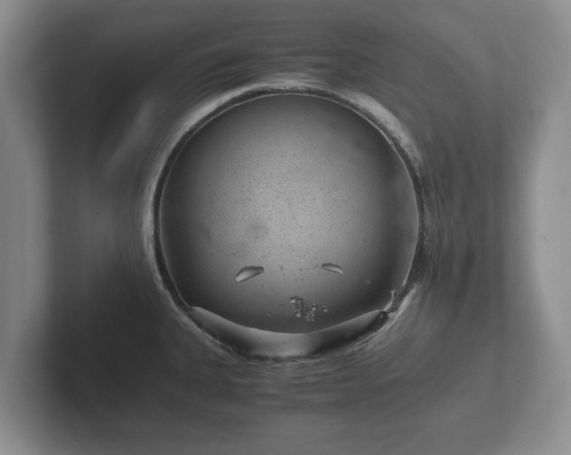 X0000102381335200808081130
