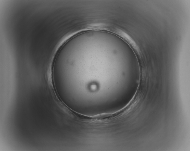 X0000102381336200808081130