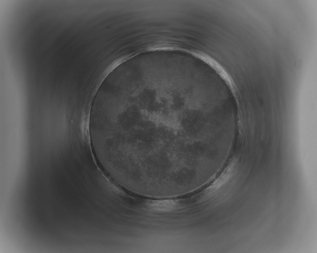 X0000102381337200808081130