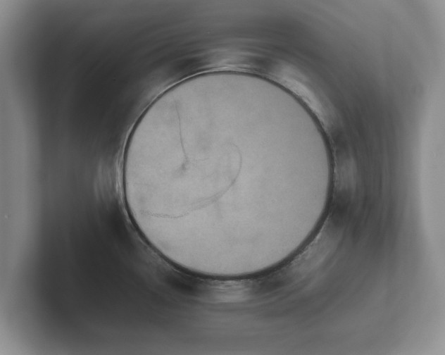 X0000102381338200808081130