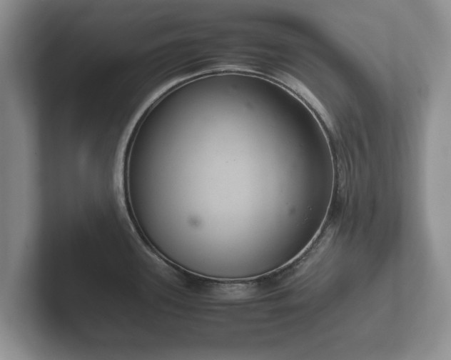 X0000102381339200808081130