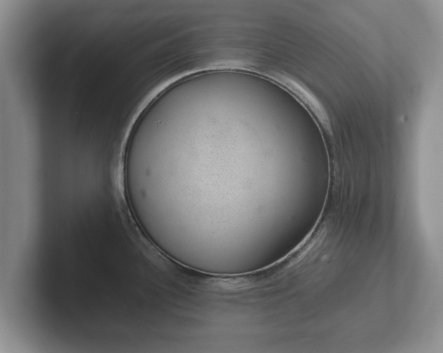 X0000102381340200808081130