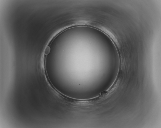 X0000102381342200808081130
