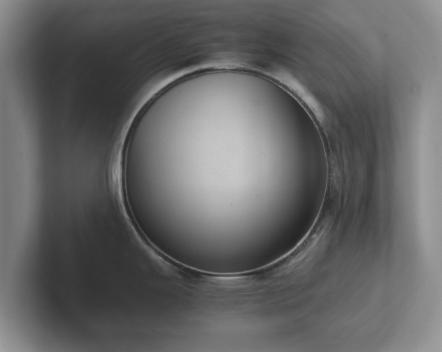 X0000102381343200808081130