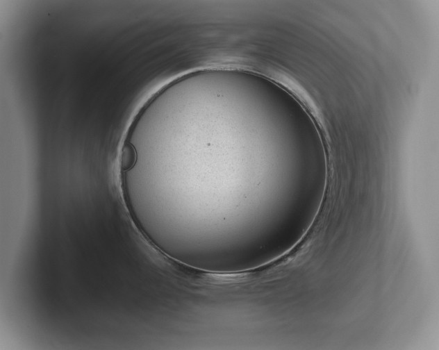 X0000102381344200808081130