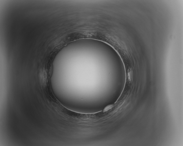 X0000102381347200808081129