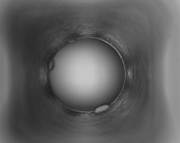 X0000102381348200808081129