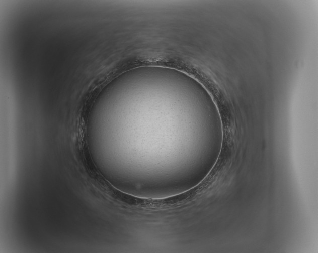 X0000102381349200808081129