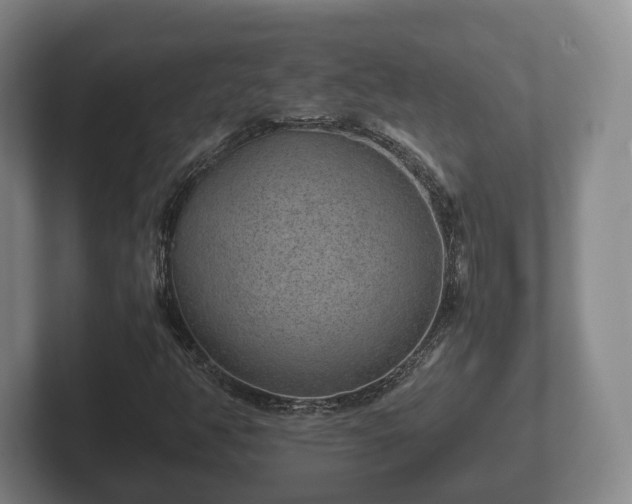X0000102381350200808081129