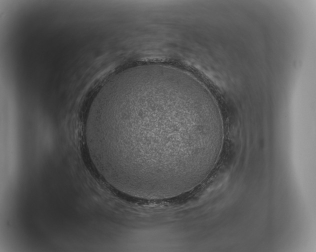 X0000102381351200808081129
