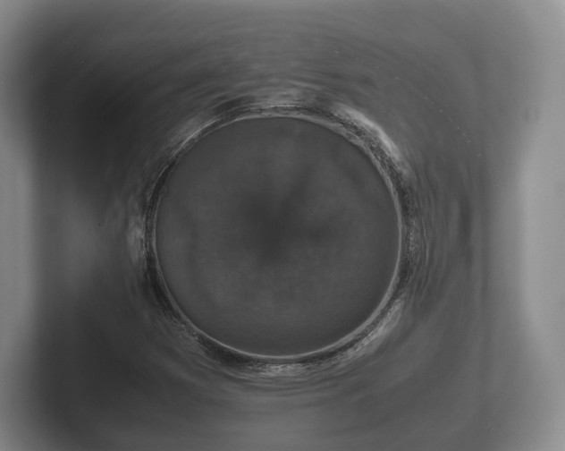 X0000102381353200808081129