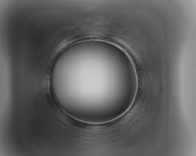 X0000102381355200808081129