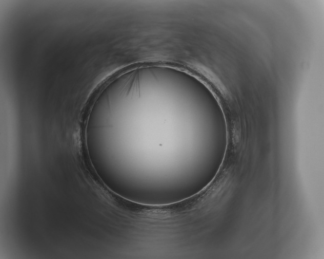 X0000102381356200808081129
