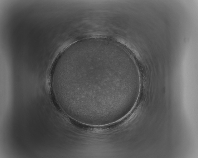 X0000102381357200808081129