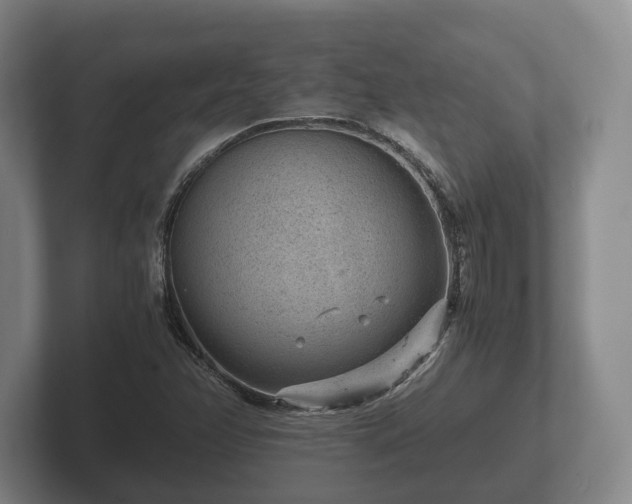 X0000102381358200808081129