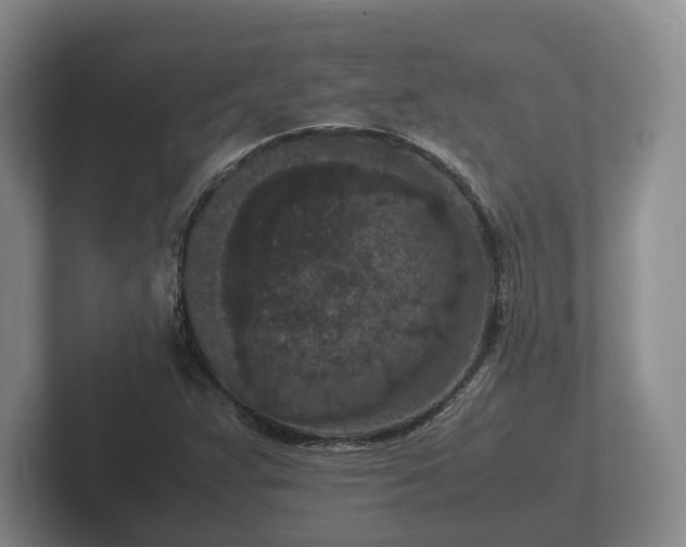 X0000102381359200808081129