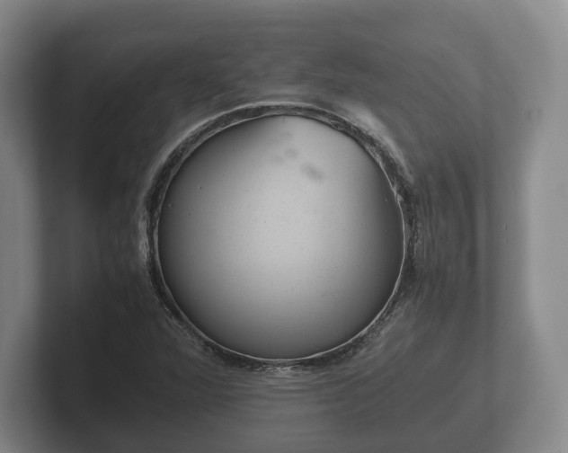 X0000102381360200808081129