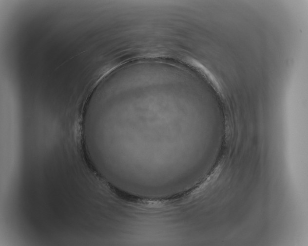 X0000102381361200808081129