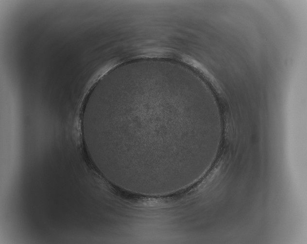 X0000102381362200808081129