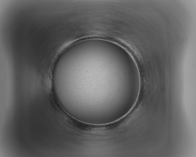 X0000102381363200808081129