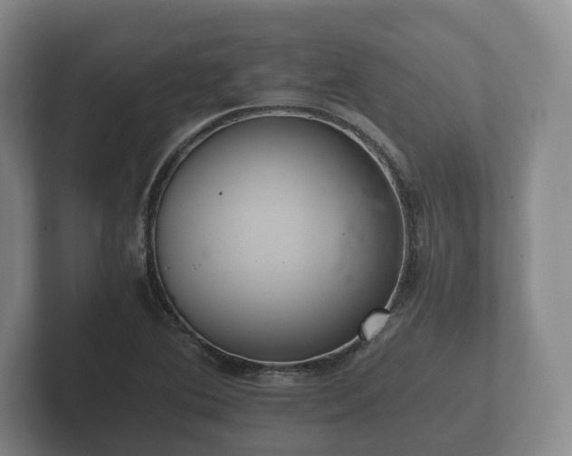 X0000102381364200808081129
