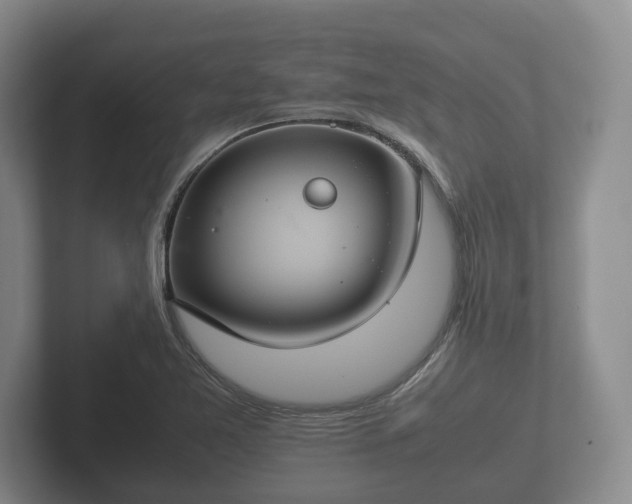 X0000102381365200808081129