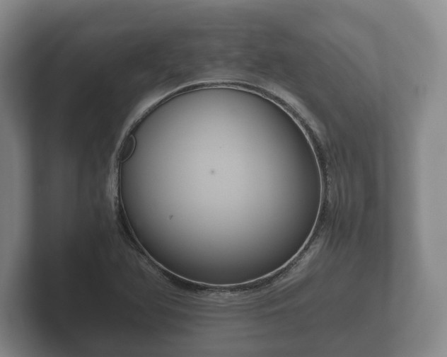 X0000102381366200808081129