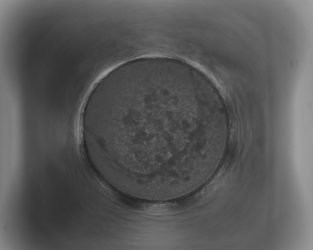 X0000102381367200808081129