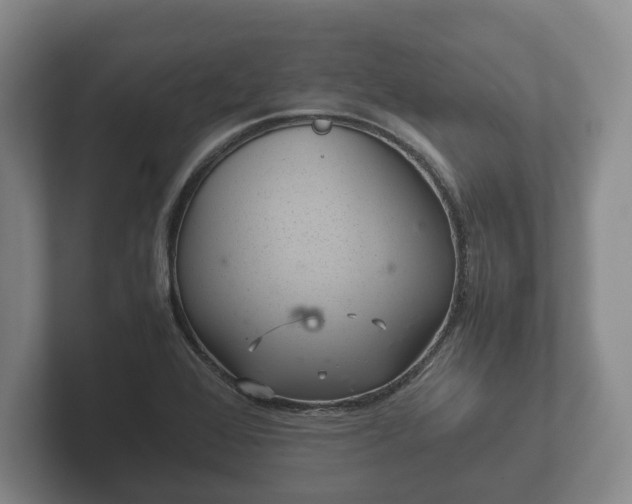 X0000102381368200808081129