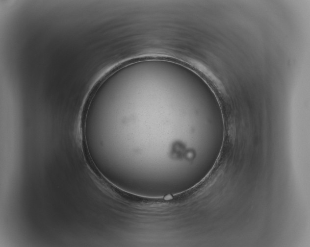 X0000102381372200808081129